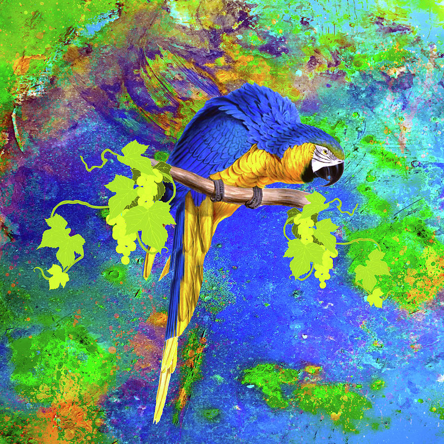 Macaw Mixed Media - Parrot And Colors by Ata Alishahi
