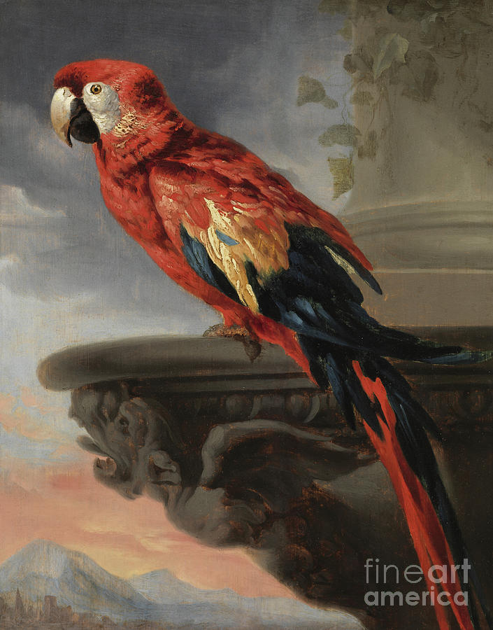Parrot by Rubens Painting by Rubens