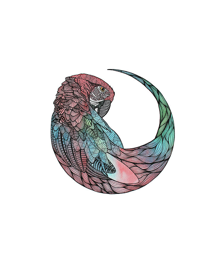 Animal Digital Art - Parrot Motif by Drawpaint Illustration