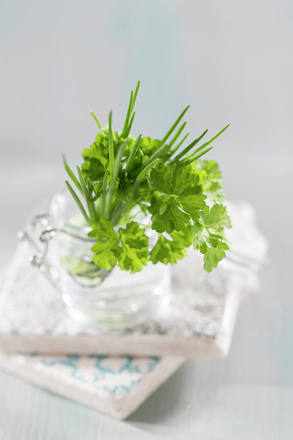 Parsley And Chives In A Glass Of Water Photograph by Jennifer Braun