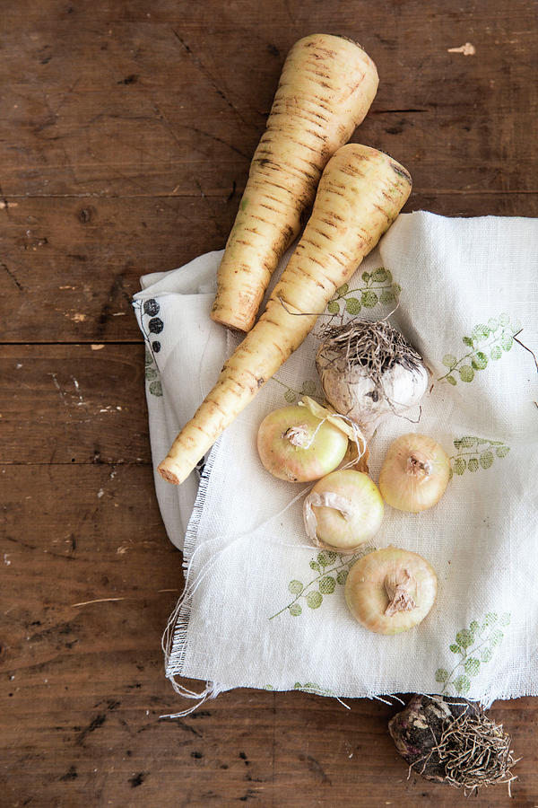 Parsley Root, Garlic And Onions On Printed Cloth Photograph by Syl Loves