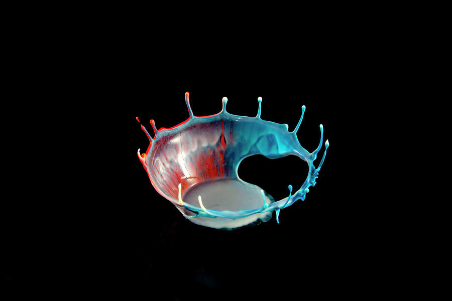 Partial Splash Crown Of Coloured Liquid Photograph by Kim Westerskov