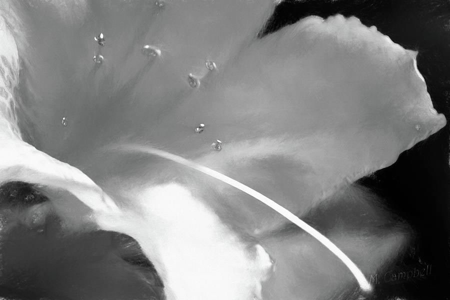 Particular Petals BW by Michael Campbell Particular Petals BW by Michael Campbell