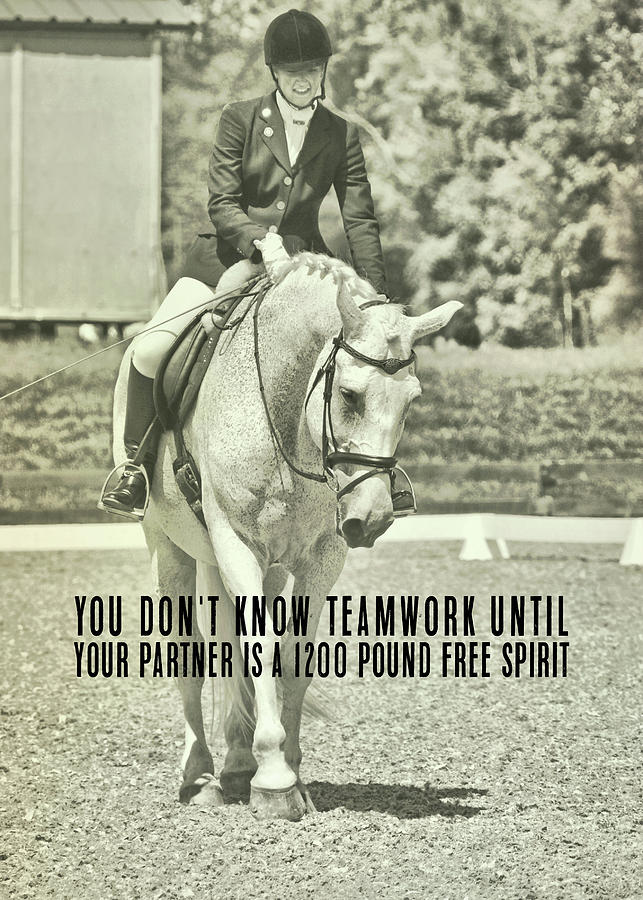 PARTNERS quote Photograph by Dressage Design