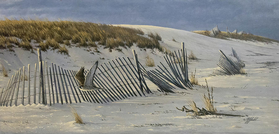Beach Painting - Passage - Peregrine Falcon by Wilhelm Goebel