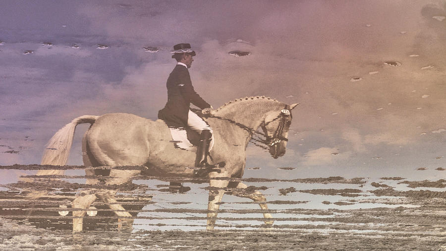 Passage Reflected Photograph by Dressage Design