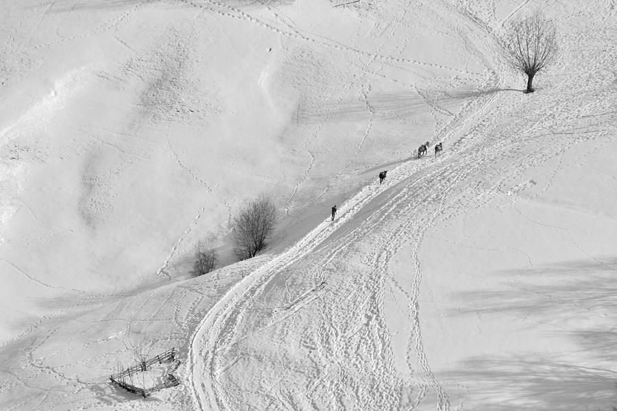 Winter Photograph - Passing by Emilian Avramescu