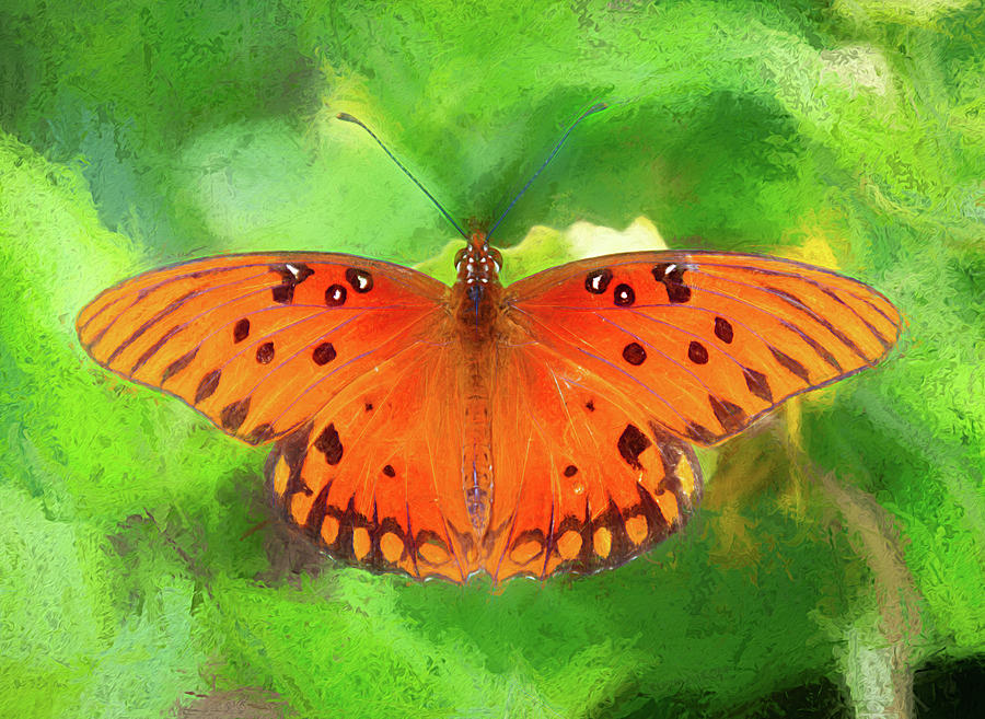 Passion Butterfly - Painterly Photograph by Debra Martz