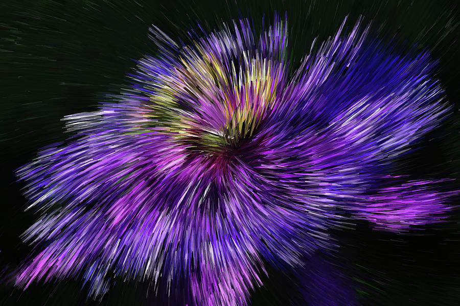 Passion Flower Abstract Photograph by HH Photography of Florida