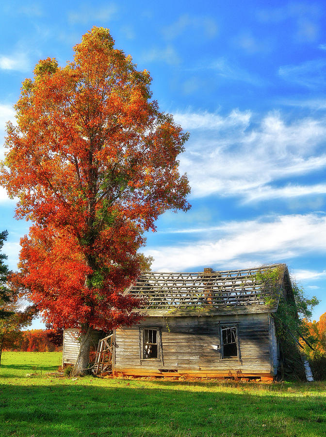 Past its Prime Vintage Autumn Barn AP Digital Art by Dan Carmichael
