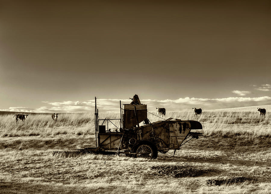 Past of the Palouse Photograph by Mark Kiver