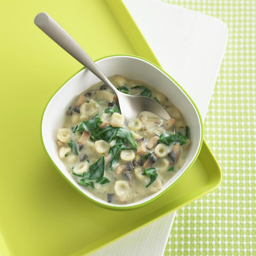 Pasta Shells With Spinach And Mushrooms In A Creamy Sauce Photograph by Dave King