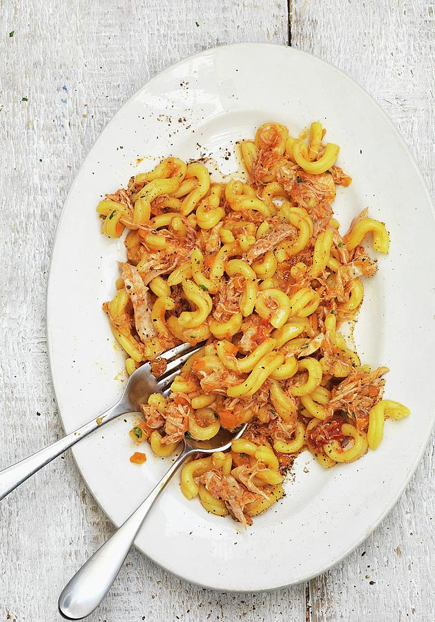 Pasta With Chicken Ragout seen From Above Photograph by Hugh Johnson