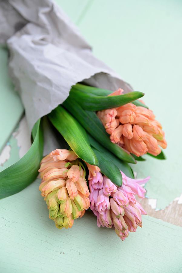 Pastel Hyacinths Wrapped In Paper On Vintage Surface Photograph by Revier 51