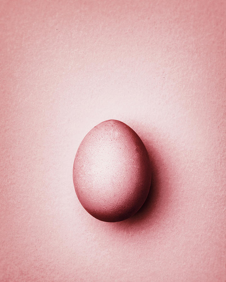 Pastel Pink Easter Egg On A Pastel Pink Background Photograph by Peter Rees