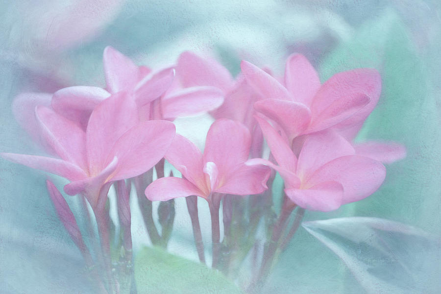 Pastel Pink Flowers - Digital Painting Photograph by Maria Angelica Maira