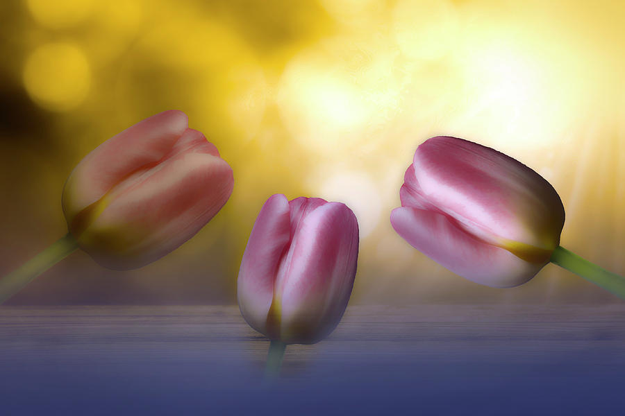 Pastel Pink Tulips The Creative Way 3 Mixed Media by Johanna Hurmerinta