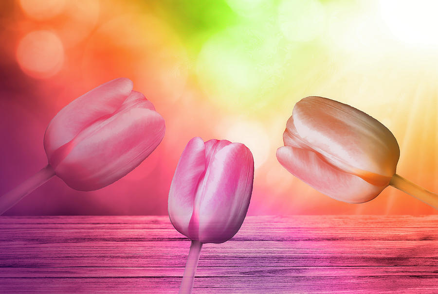 Pastel Pink Tulips The Creative Way Mixed Media by Johanna Hurmerinta
