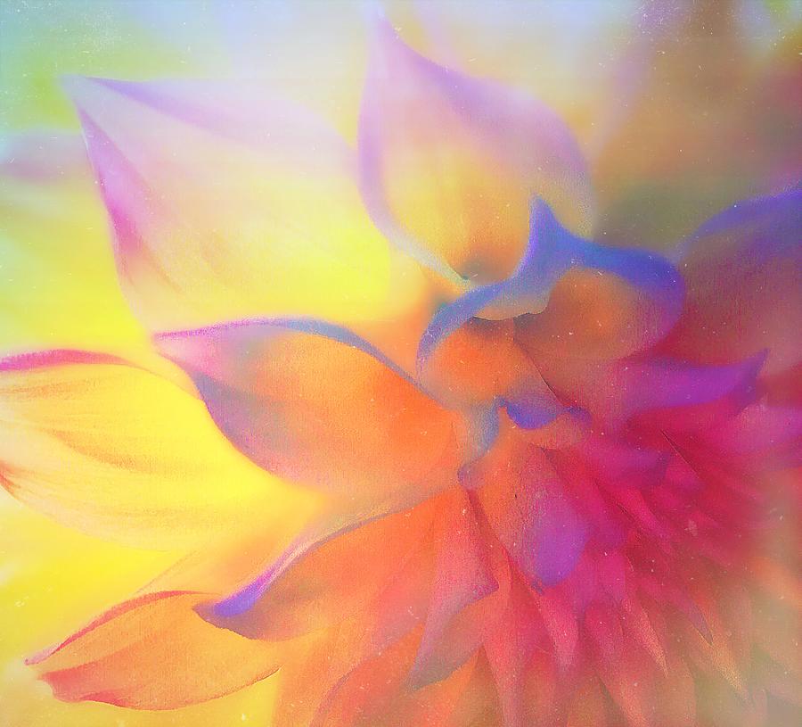 Nature Photograph - Pastel Pretty by Christina Ford