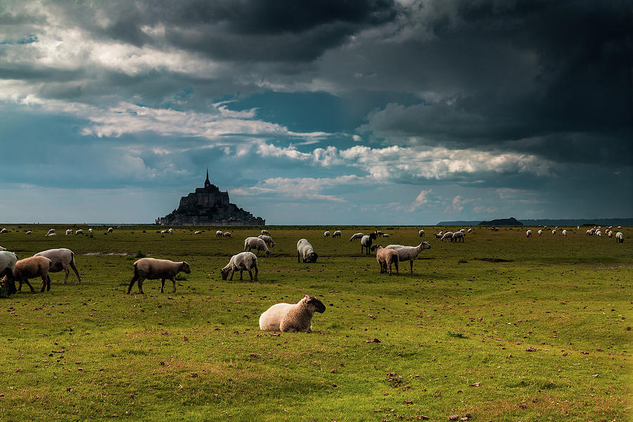 Pastoral Mont Saint Michel Photograph