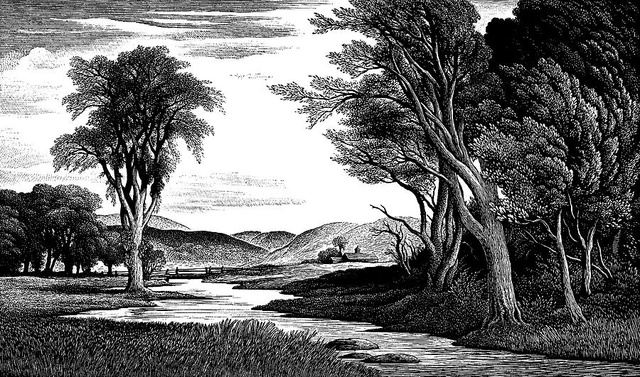 Black And White Drawing - Pastoral Scene by CSA Images