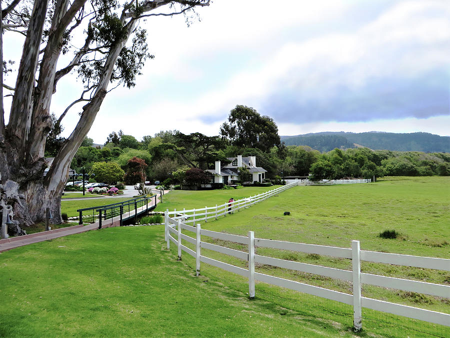 Mission Ranch, Carmel Photograph by Jane Loomis - Fine Art America