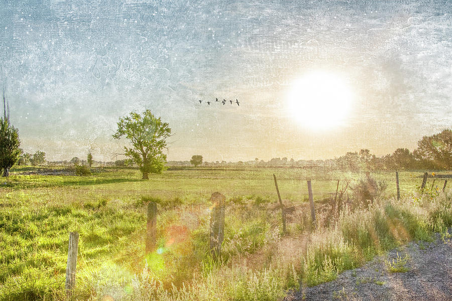 Pasture Sunrise by Ramona Murdock Pasture Sunrise by Ramona Murdock