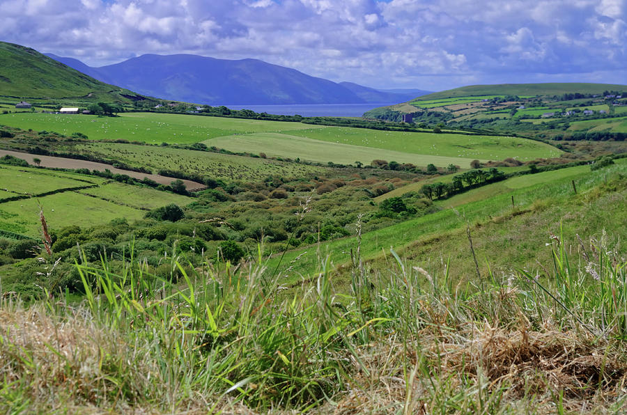 Pastures Green on the Dingle Peninsula - County Kerry - Ireland Photograph by Tony Crehan