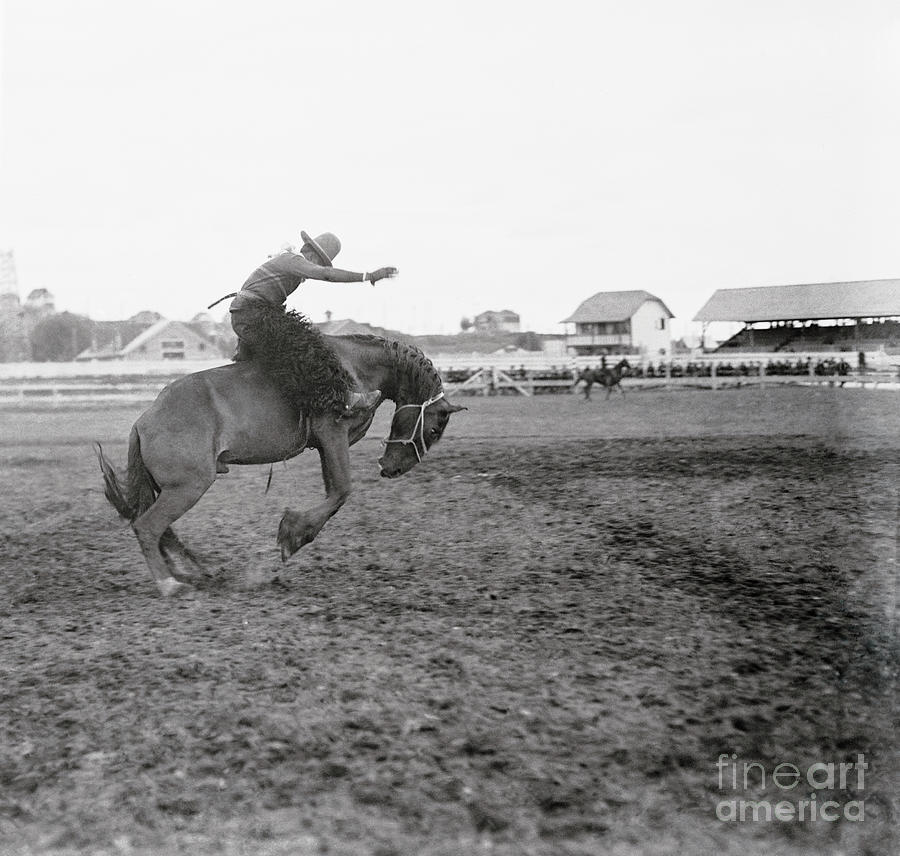 Pat Smith Competing In Rodeo Photograph by Bettmann