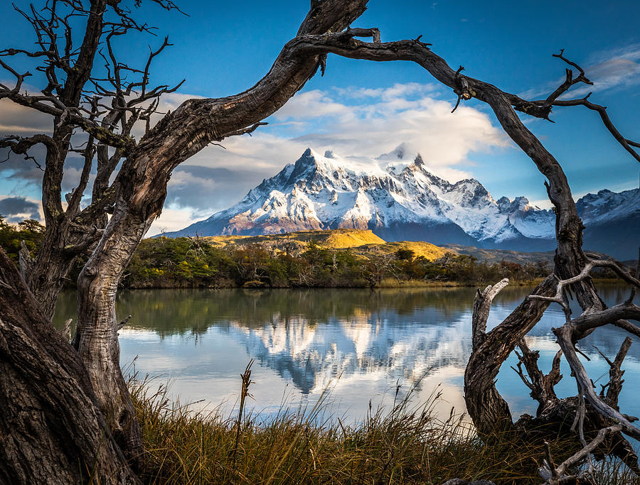 Patagonia Photograph by Alexander Lozitsky
