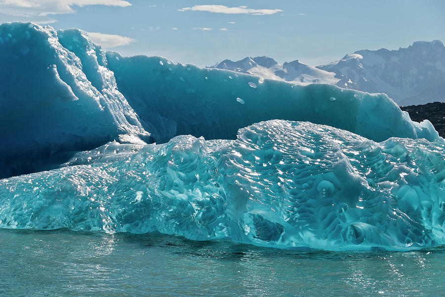 Patagonia Iceberg Medley Photograph by Marc Shandro