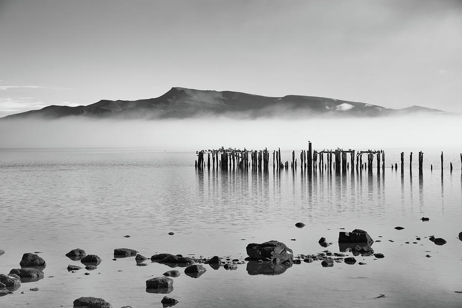 Patagonian Pier - Black and White Photograph by Mark Hunter
