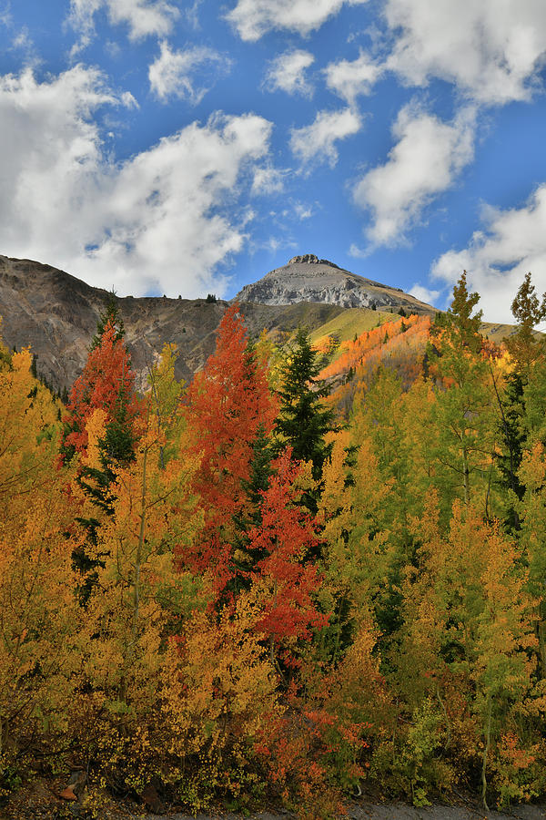 Patchy Sunlight on Fall Colors at Red Mountain Pass Photograph by Ray Mathis