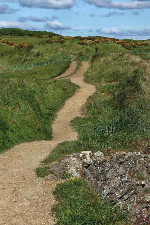 Path Along the Coast of Scotland Photograph by Dave Mills