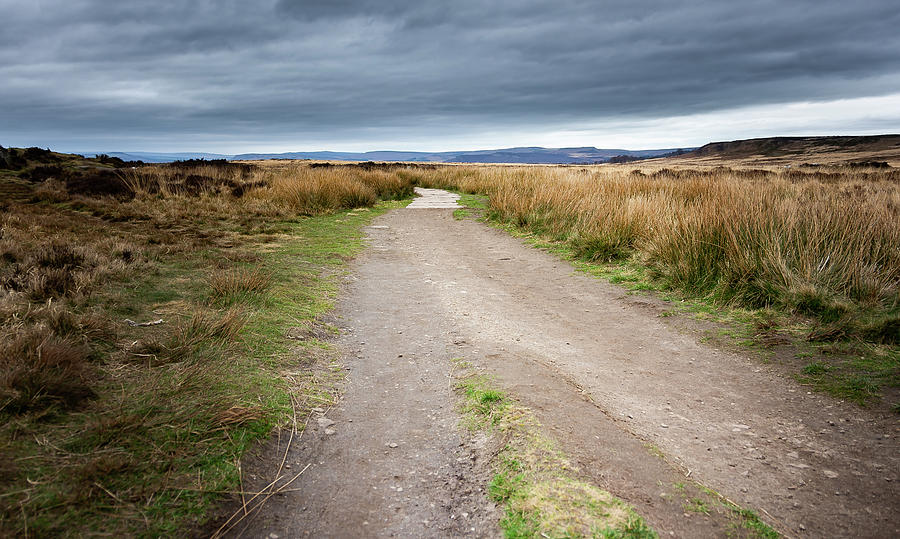 Path along the edge Photograph by Scott Lyons