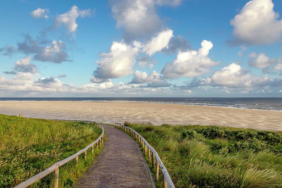 Path At De Cocksdorp Beach, Netherlands Digital Art by Andrea Armellin