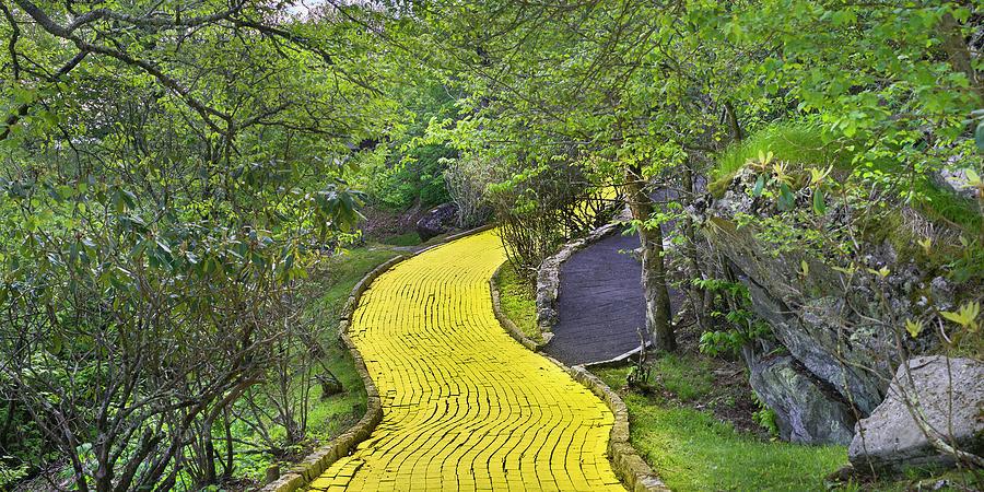 Path In A Forest, Wizard Of Oz Park Photograph by Panoramic Images