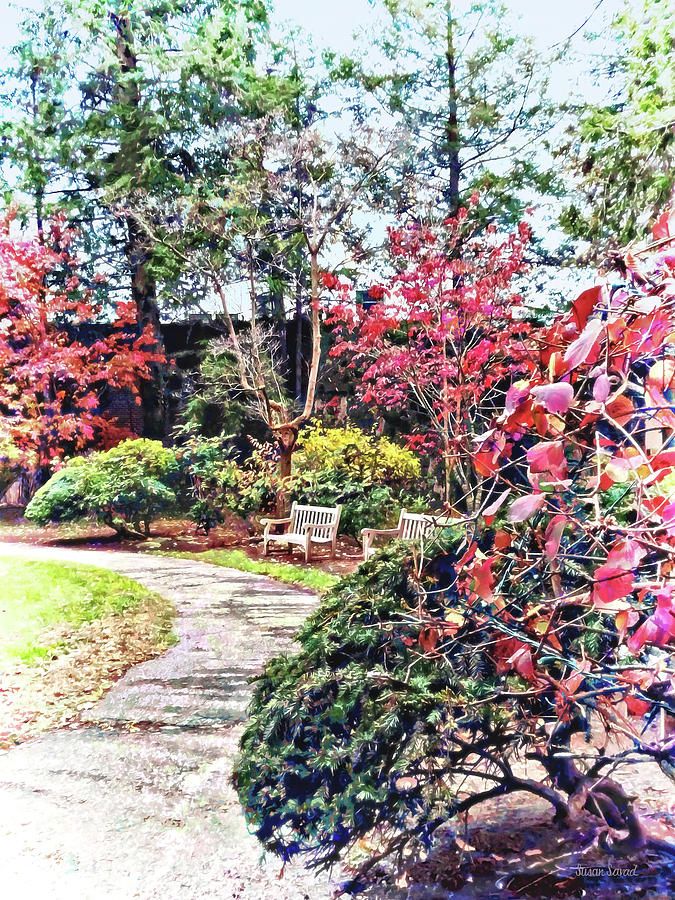 Path in Autumn Park Photograph by Susan Savad