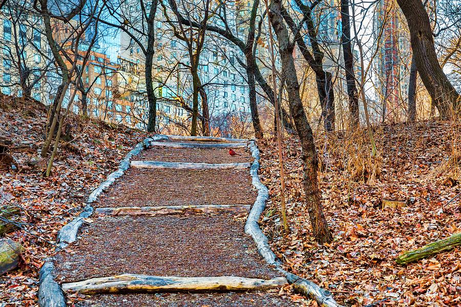 Path In Central Park Nyc Digital Art by Claudia Uripos