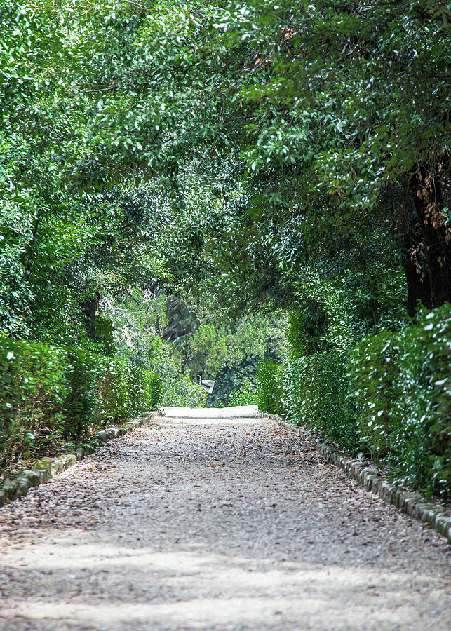 Path In The Boboli Gardens In Florence, Italy Photograph by Manuel ...