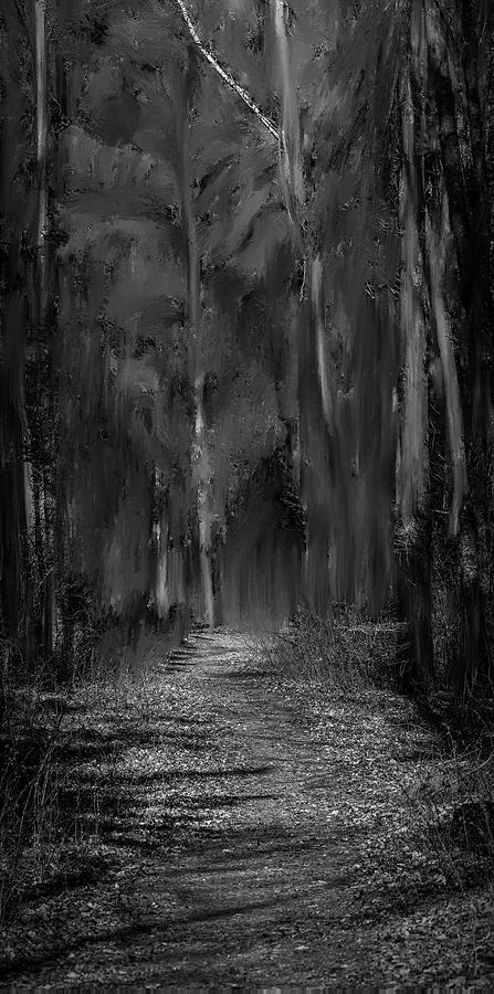 path into fairy forest BW #i6 Photograph by Leif Sohlman