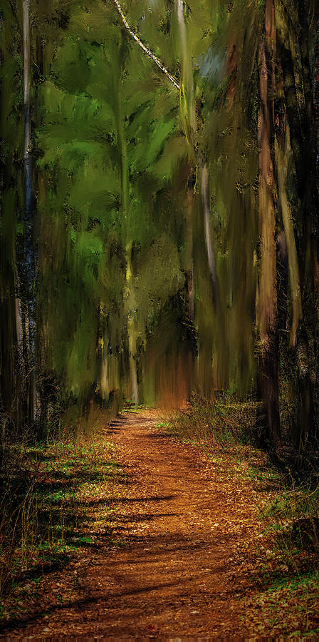 Tree Mixed Media - Path Into Fairy Forest #i6 by Leif Sohlman