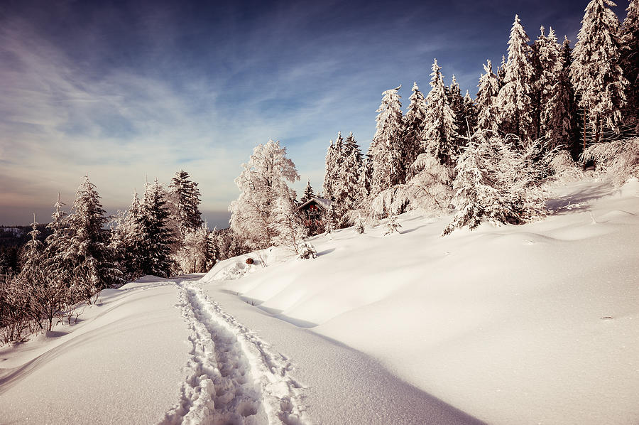 Path Leading Through Winter Landscape Photograph by Andreas Schott (bonnix)