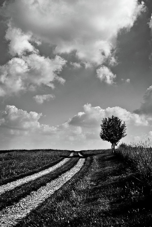 Path Leading To Horizon Photograph by Andreas Schott (bonnix)