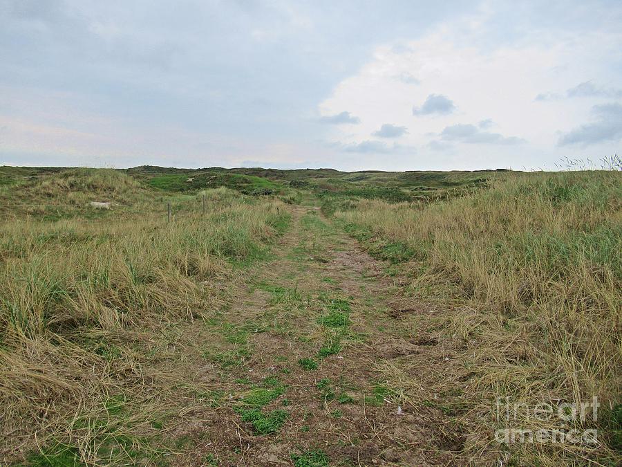 Path near De Mokbaai on Texel Photograph by Chani Demuijlder