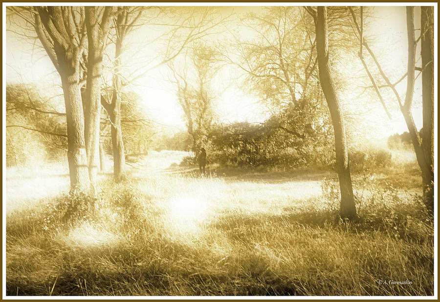 Path Through a Meadow Photograph by A Macarthur Gurmankin
