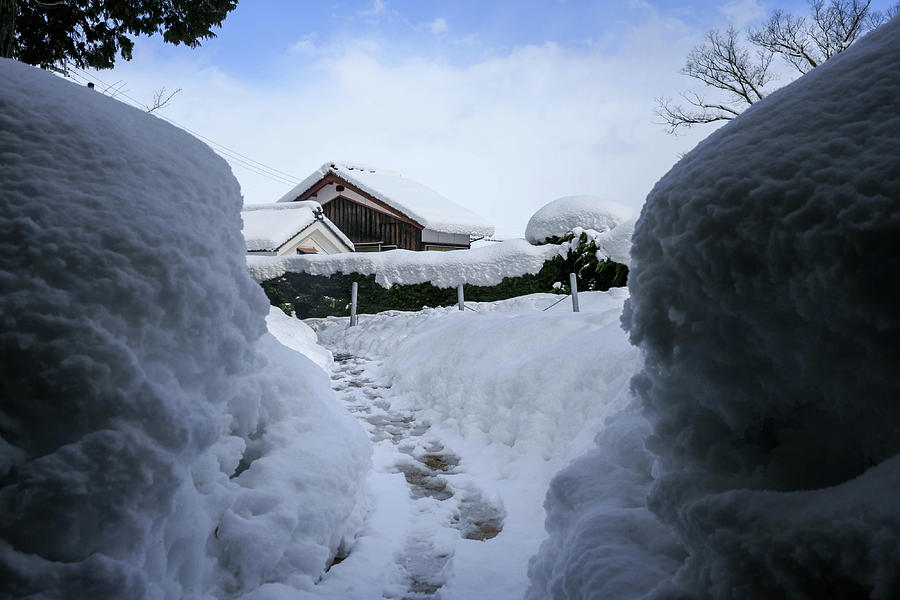 Path Through Deep Snow Photograph By Osaze Cuomo