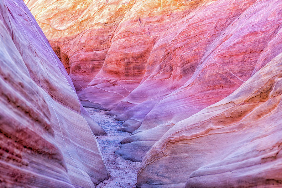 Nature Photograph - Path Through Pink Canyon 1 by Joseph S Giacalone