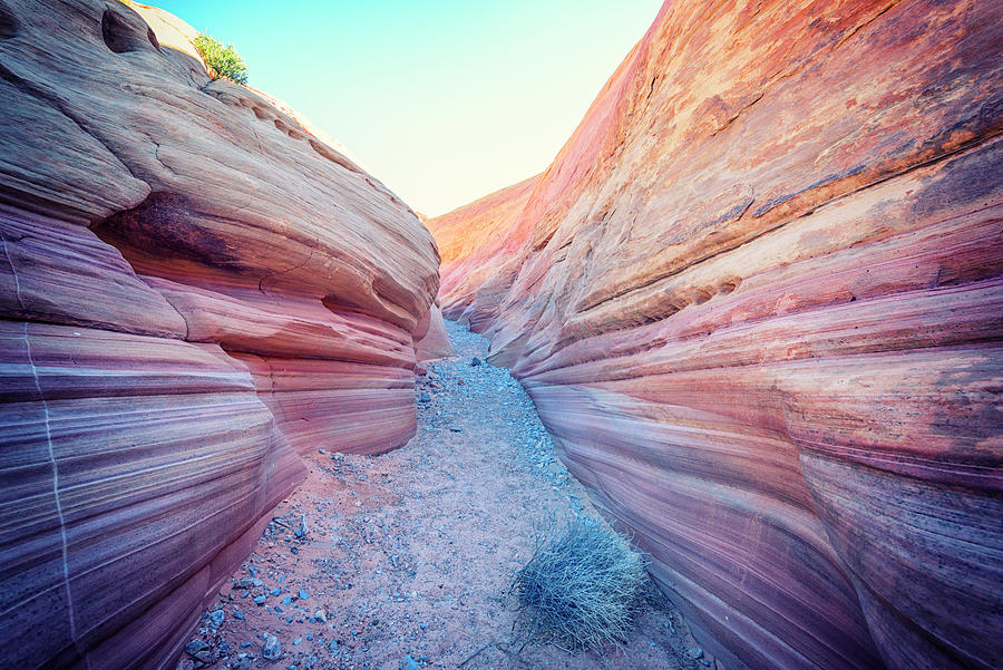 Nature Photograph - Path Through Pink Canyon 2 by Joseph S Giacalone