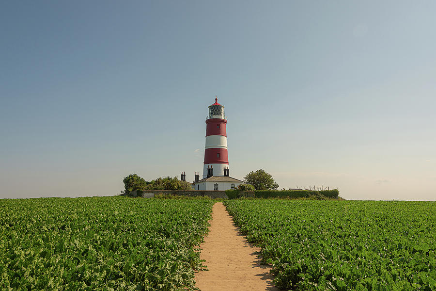 Path to Happisburgh Lighthouse Photograph by Scott Lyons